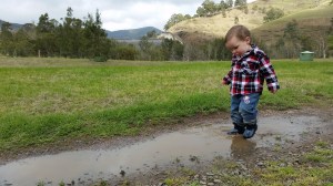 Riley Strut Original